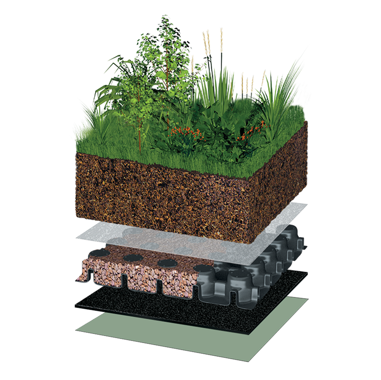 Intenzívna zelená strecha