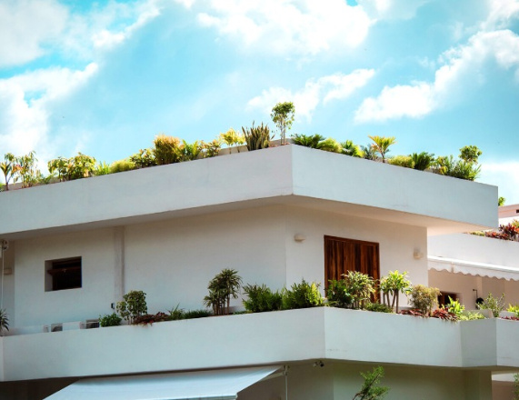 Zelené strechy zefektívňujú fotovoltické panely - najnovšia štúdia  