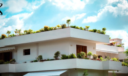 Zelené strechy zefektívňujú fotovoltické panely